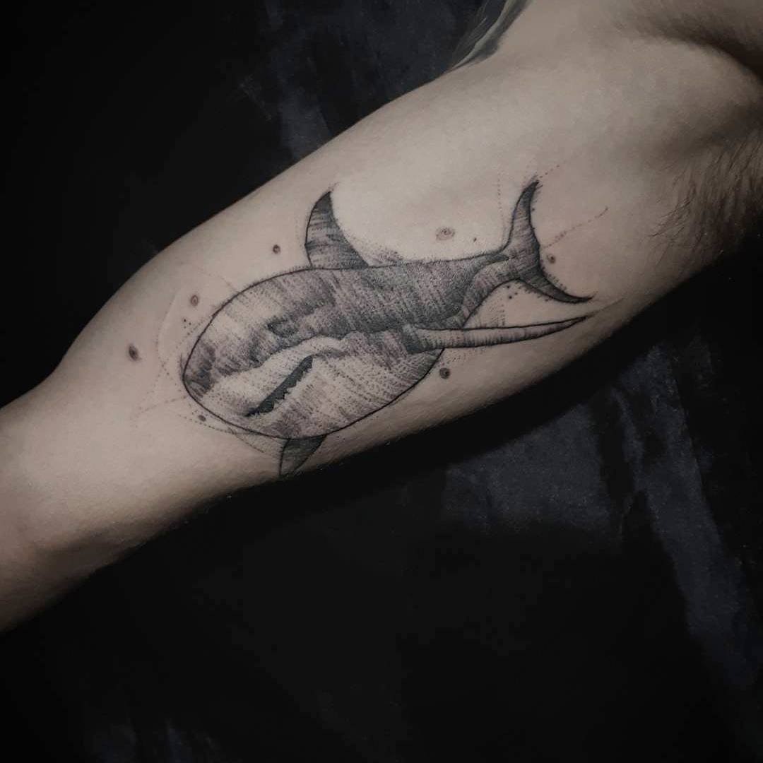 储先生小臂鲨鱼纹身图案